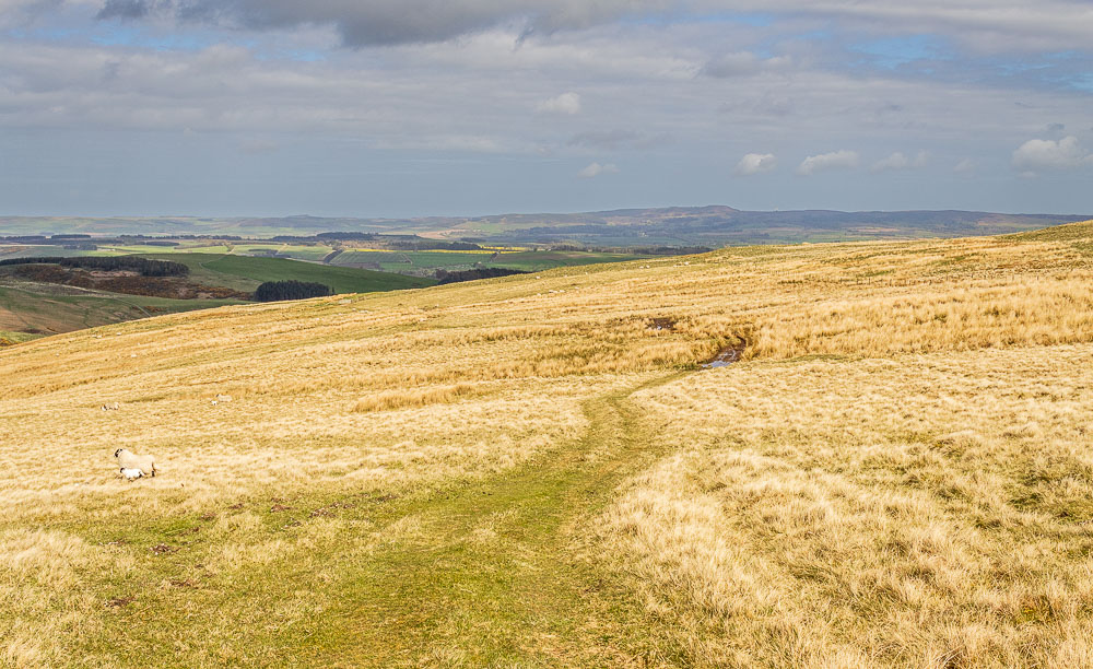 Snear Hill Snear Hill